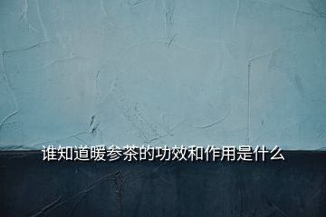 誰知道暖參茶的功效和作用是什么