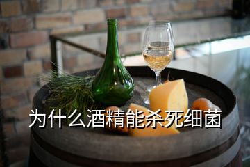 為什么酒精能殺死細(xì)菌