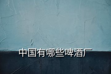 中國(guó)有哪些啤酒廠