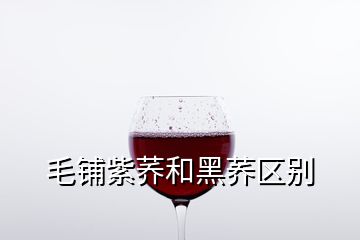 毛鋪紫蕎和黑蕎區(qū)別
