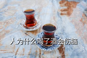 人為什么喝了酒會(huì)傷腦