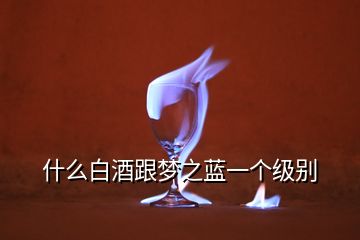 什么白酒跟夢之藍(lán)一個級別