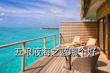 五糧液海之藍哪個好