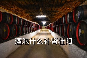 酒泡什么補腎壯陽
