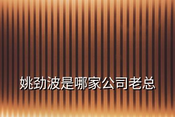 姚勁波是哪家公司老總