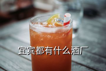 宜賓都有什么酒廠