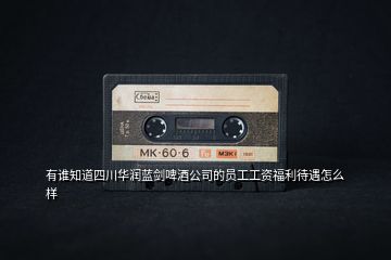 有誰知道四川華潤藍劍啤酒公司的員工工資福利待遇怎么樣