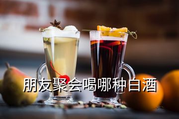 朋友聚會喝哪種白酒