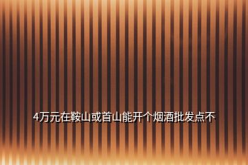 4萬元在鞍山或首山能開個煙酒批發(fā)點不