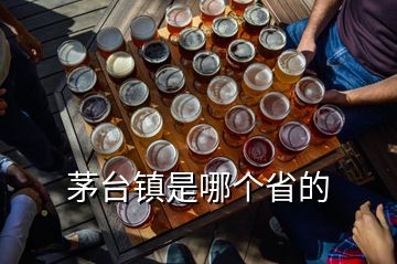 茅臺(tái)鎮(zhèn)是哪個(gè)省的