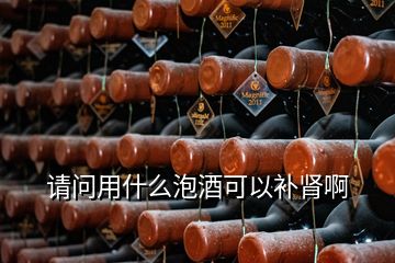 請(qǐng)問用什么泡酒可以補(bǔ)腎啊