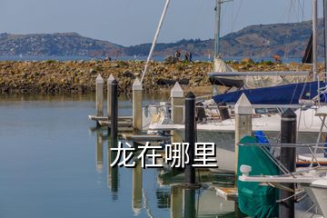 龍在哪里