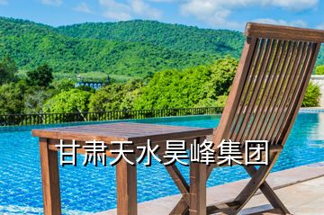 甘肅天水昊峰集團