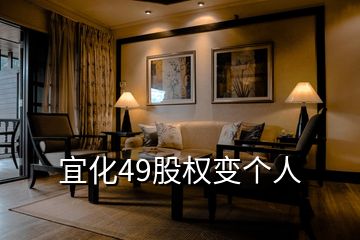 宜化49股權(quán)變個人