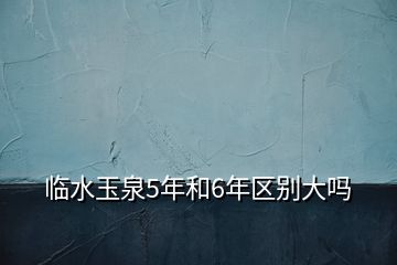 臨水玉泉5年和6年區(qū)別大嗎