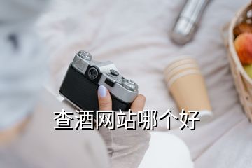 查酒網站哪個好