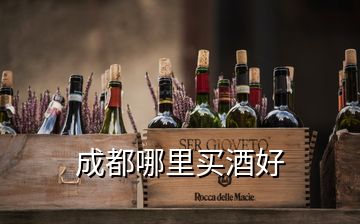 成都哪里買(mǎi)酒好