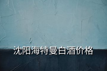 沈陽(yáng)海特曼白酒價(jià)格