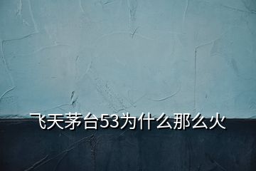 飛天茅臺53為什么那么火