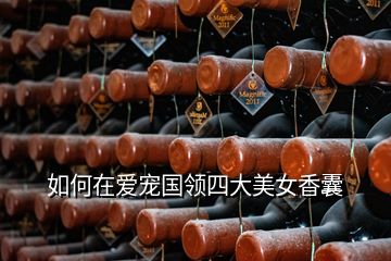 如何在愛(ài)寵國(guó)領(lǐng)四大美女香囊