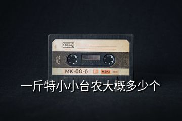 一斤特小小臺農大概多少個