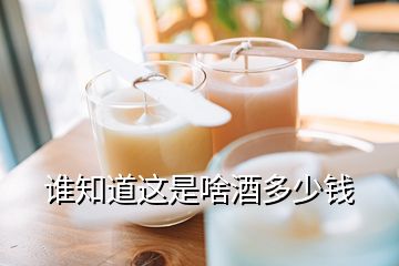 誰(shuí)知道這是啥酒多少錢(qián)