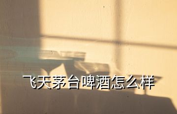 飛天茅臺(tái)啤酒怎么樣