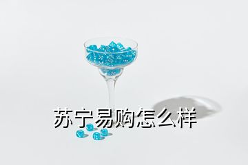 蘇寧易購(gòu)怎么樣
