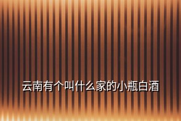 云南有個叫什么家的小瓶白酒