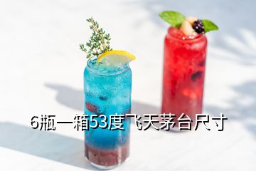 6瓶一箱53度飛天茅臺(tái)尺寸