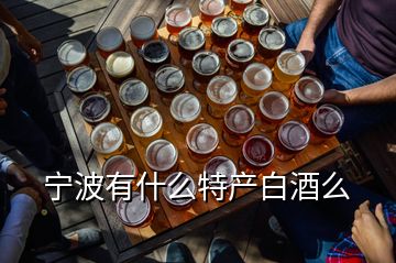 寧波有什么特產白酒么