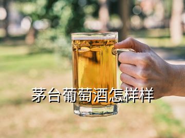 茅臺葡萄酒怎樣樣