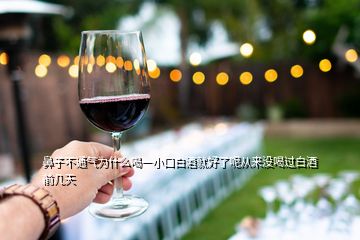 鼻子不通氣為什么喝一小口白酒就好了呢從來(lái)沒(méi)喝過(guò)白酒前幾天