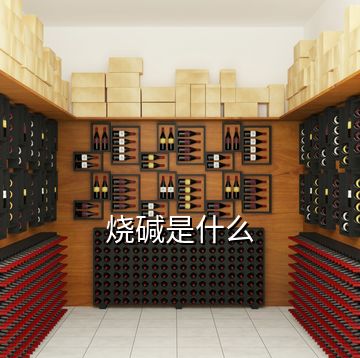 燒堿是什么