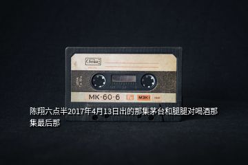 陳翔六點半2017年4月13日出的那集茅臺和腿腿對喝酒那集最后那