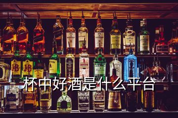 杯中好酒是什么平臺