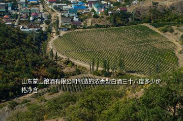 山東蒙山釀酒有限公司制造的濃香型白酒三十八度多少價(jià)格凈含