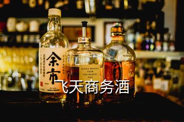 飛天商務酒