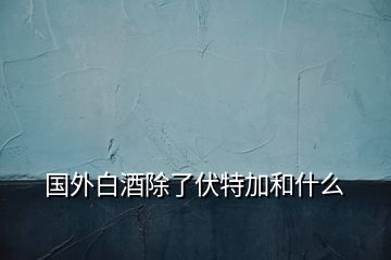 國(guó)外白酒除了伏特加和什么