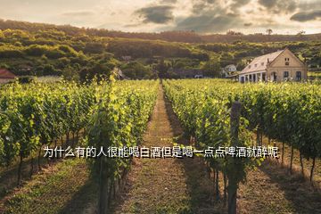 為什么有的人很能喝白酒但是喝一點(diǎn)點(diǎn)啤酒就醉呢