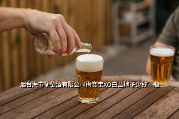 煙臺(tái)海市葡萄酒有限公司梅賽寶XO白蘭地多少錢一瓶