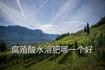 腐殖酸水溶肥哪一個好