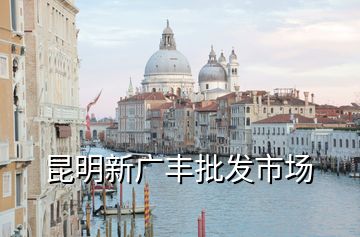 昆明新廣豐批發(fā)市場(chǎng)