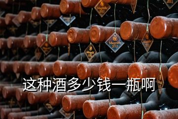 這種酒多少錢(qián)一瓶啊