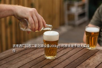 求啤酒廠回收二氧化碳設(shè)備200kg小時(shí)原來是手動(dòng)人工操作