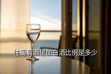 往葡萄酒里加白灑比例是多少