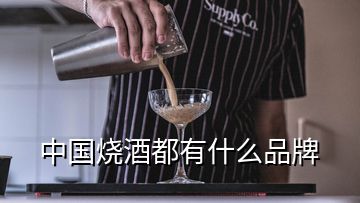 中國燒酒都有什么品牌