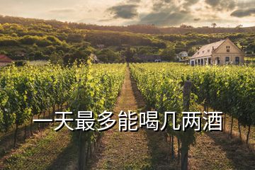 一天最多能喝幾兩酒