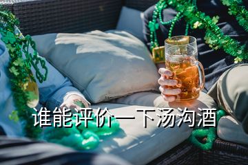 誰能評(píng)價(jià)一下湯溝酒