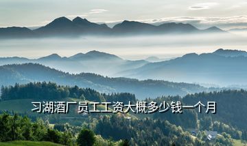 習(xí)湖酒廠員工工資大概多少錢一個月